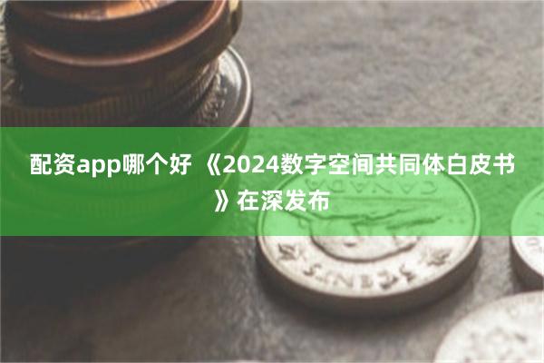 配资app哪个好 《2024数字空间共同体白皮书》在深发布