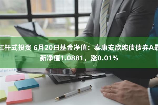 杠杆式投资 6月20日基金净值：泰康安欣纯债债券A最新净值1.0881，涨0.01%