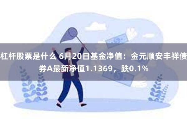 杠杆股票是什么 6月20日基金净值：金元顺安丰祥债券A最新净值1.1369，跌0.1%