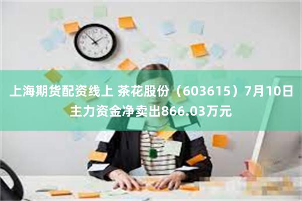 上海期货配资线上 茶花股份（603615）7月10日主力资金净卖出866.03万元